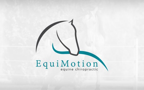 Equimotion