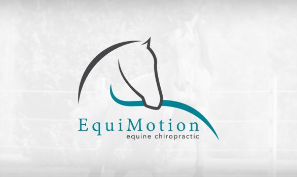 Equimotion